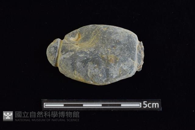 網墜藏品圖，第1張