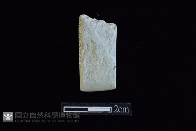 錛鑿形器藏品圖，第1張