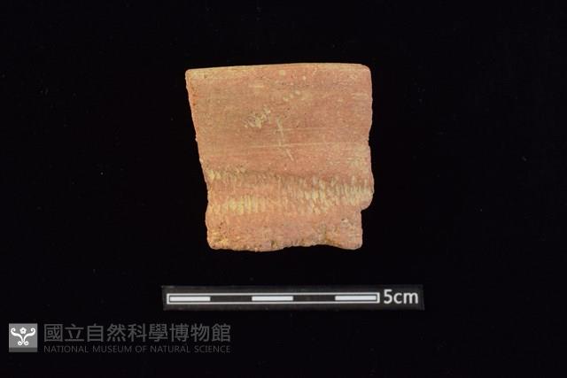 陶罐藏品圖，第1張