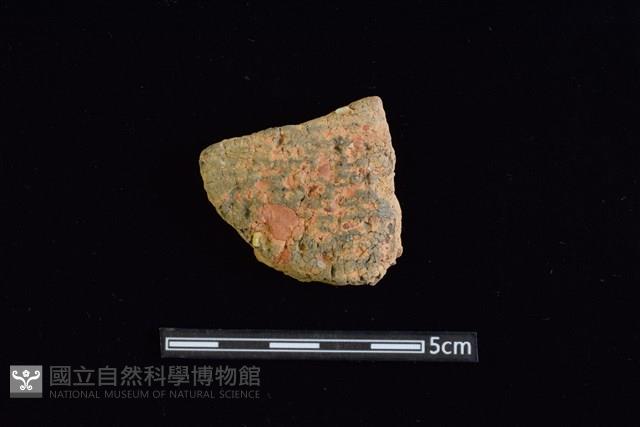 陶片藏品圖，第1張