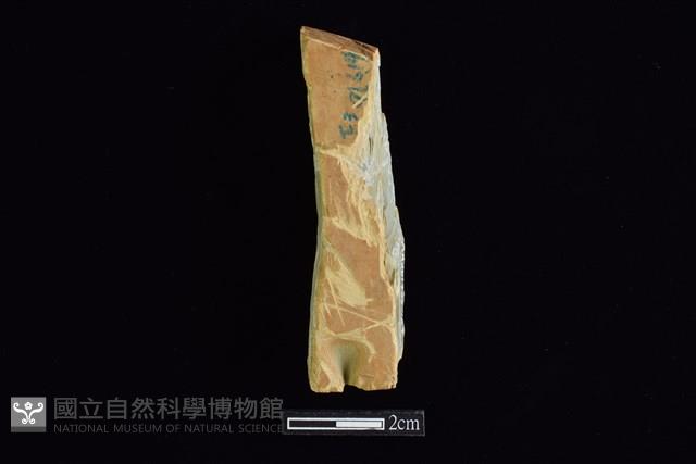 錛鑿形器藏品圖，第2張