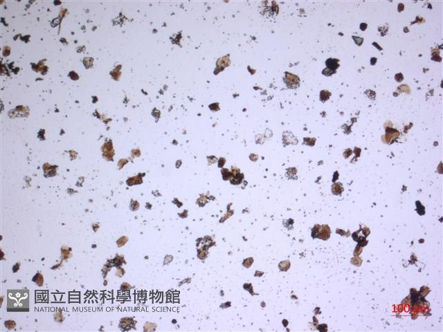 登錄號:A00004569藏品圖，第2張