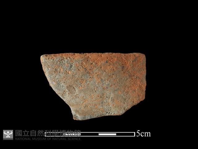 陶罐藏品圖，第1張