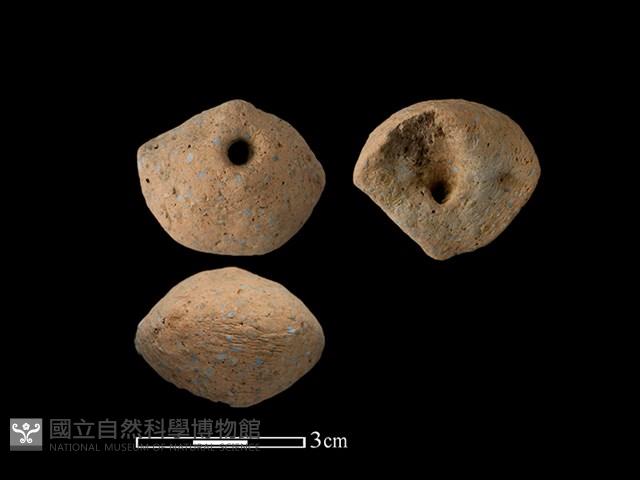 紡輪藏品圖，第1張