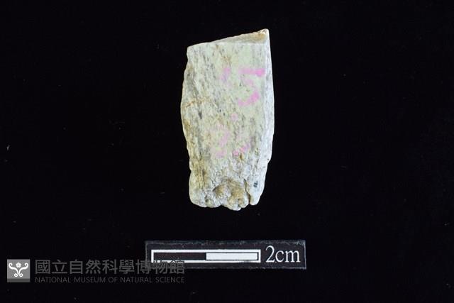 錛鑿形器藏品圖，第1張