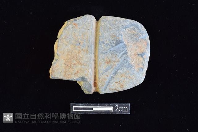 網墜藏品圖，第1張