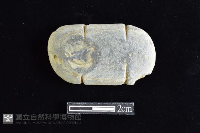 網墜藏品圖，第1張