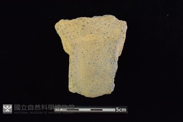 陶缽藏品圖，第1張