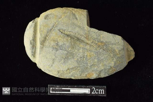 網墜藏品圖，第1張