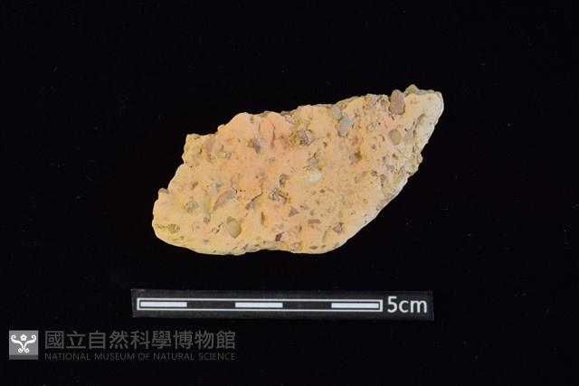 陶片藏品圖，第1張