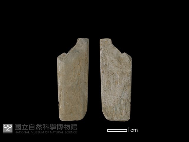 矛鏃形器藏品圖，第1張