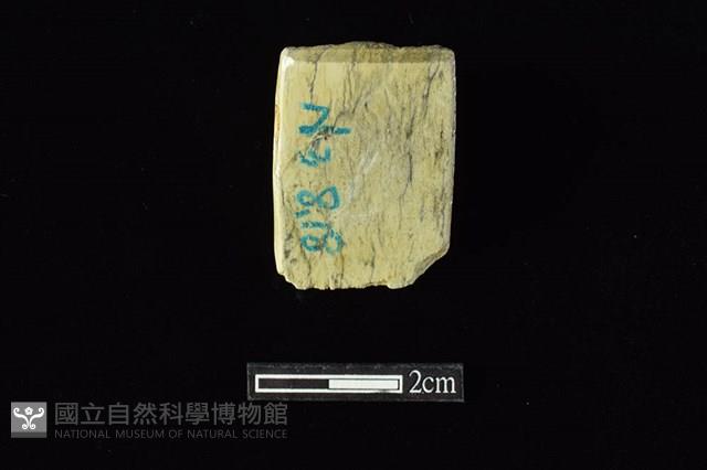 錛鑿形器藏品圖，第2張