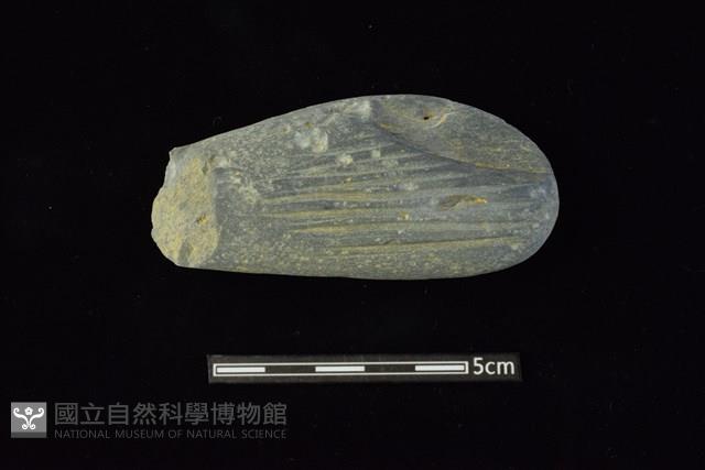 有槽石棒藏品圖，第1張