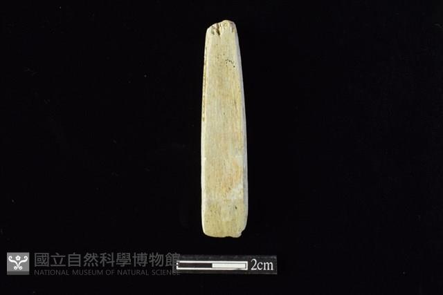 錛鑿形器藏品圖，第1張