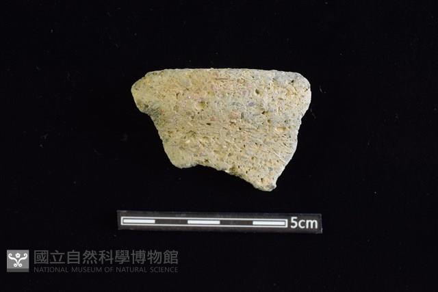 陶片藏品圖，第1張