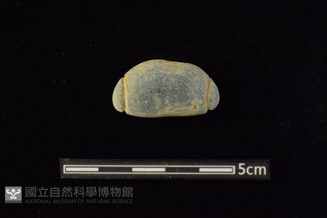 網墜藏品圖，第1張