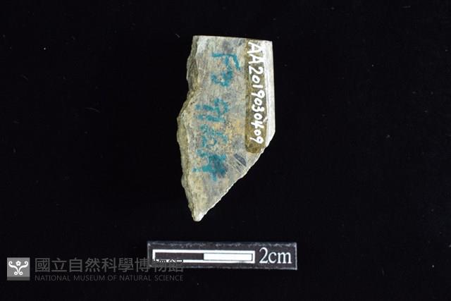 錛鑿形器藏品圖，第1張