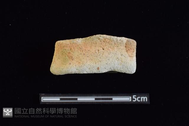 陶罐藏品圖，第1張