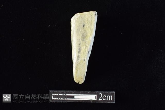 錛鑿形器藏品圖，第1張