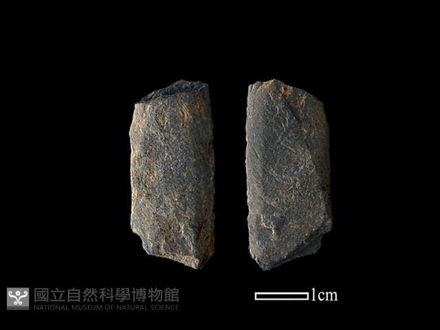 矛鏃形器藏品圖，第1張