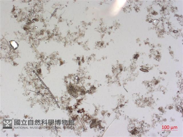 登錄號:A00004489藏品圖，第2張