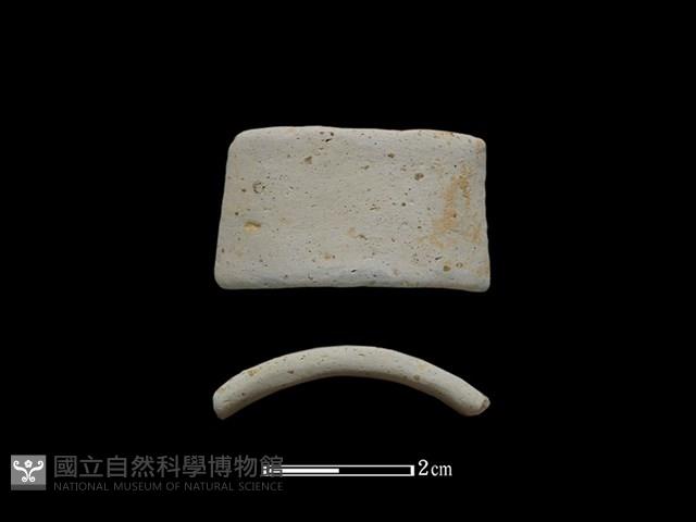 陶環藏品圖，第1張