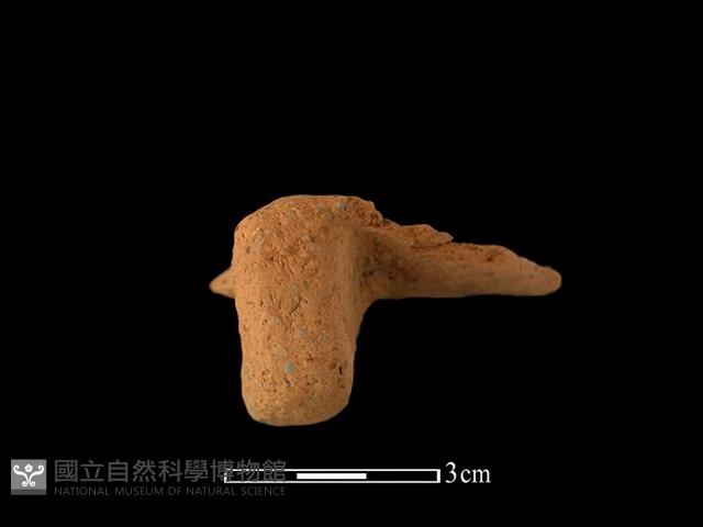 陶耳藏品圖，第2張