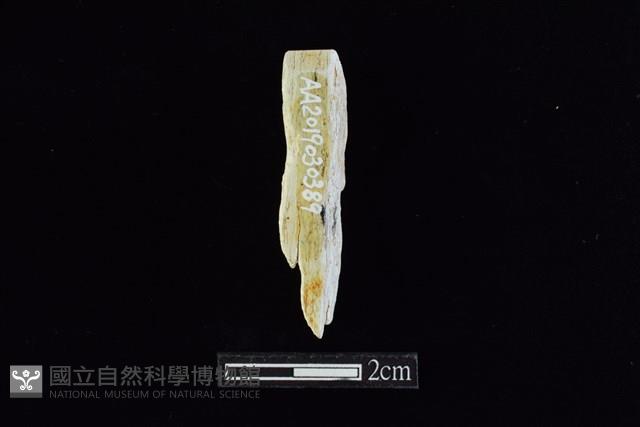 錛鑿形器藏品圖，第1張