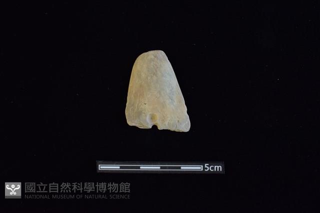 矛鏃形器藏品圖，第1張