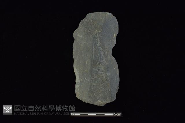 戈形器藏品圖，第1張