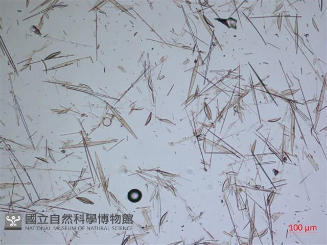 登錄號:A00004636藏品圖，第2張