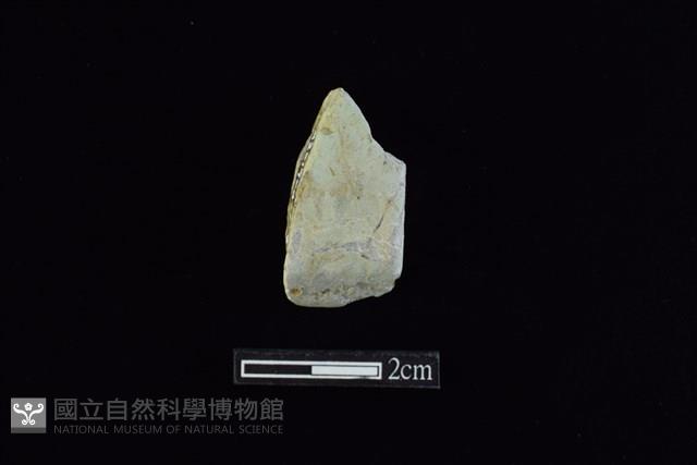 錛鑿形器藏品圖，第1張