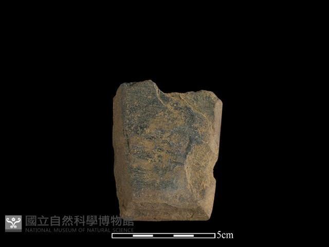 磨製斧鋤形器藏品圖，第1張