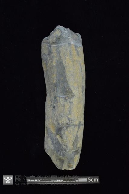 石鎚藏品圖，第1張