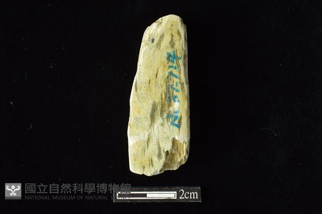 錛鑿形器藏品圖，第2張