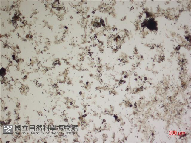 登錄號:A00004536藏品圖，第2張
