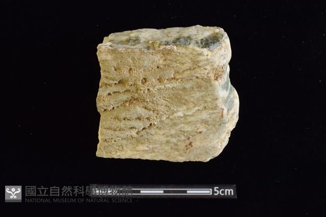 石材藏品圖，第1張