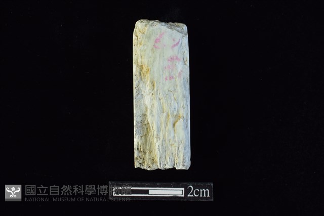 錛鑿形器藏品圖，第1張