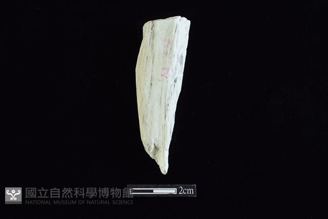 錛鑿形器藏品圖，第1張