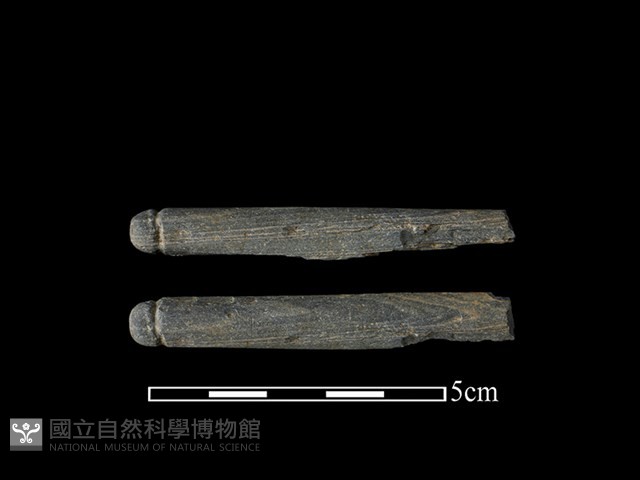 網墜藏品圖，第1張