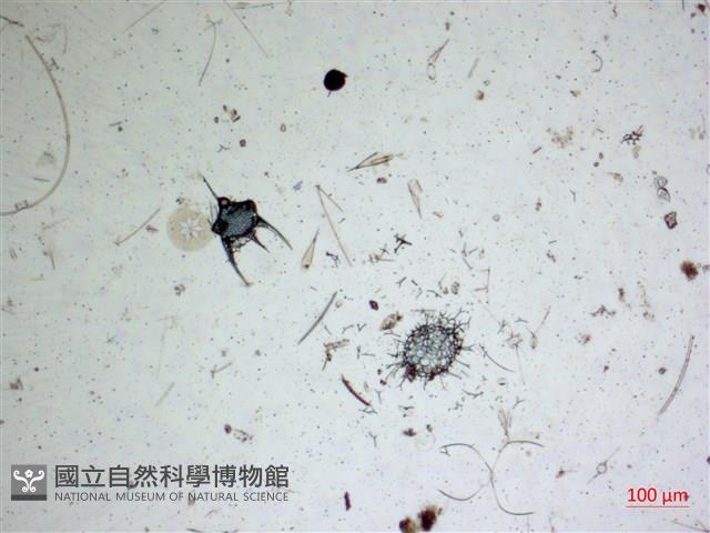 登錄號:A00004656藏品圖，第2張
