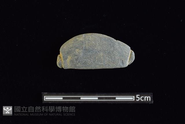 網墜藏品圖，第1張