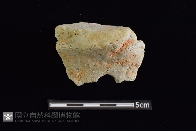 圈足藏品圖，第1張