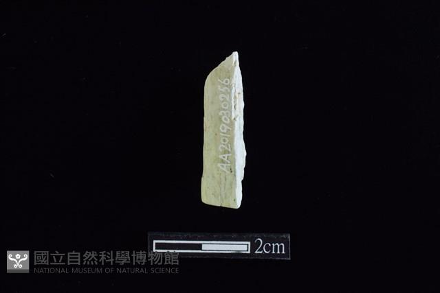 錛鑿形器藏品圖，第2張