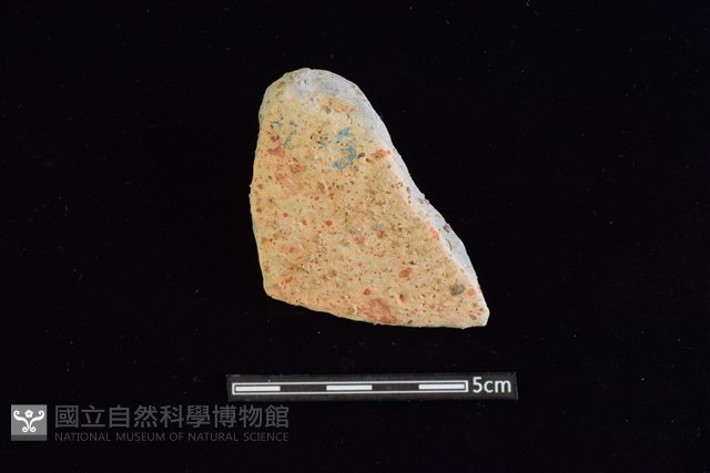 陶片藏品圖，第1張