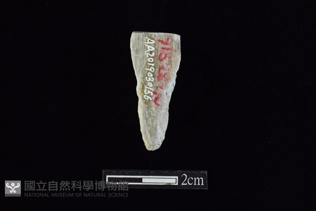 錛鑿形器藏品圖，第2張