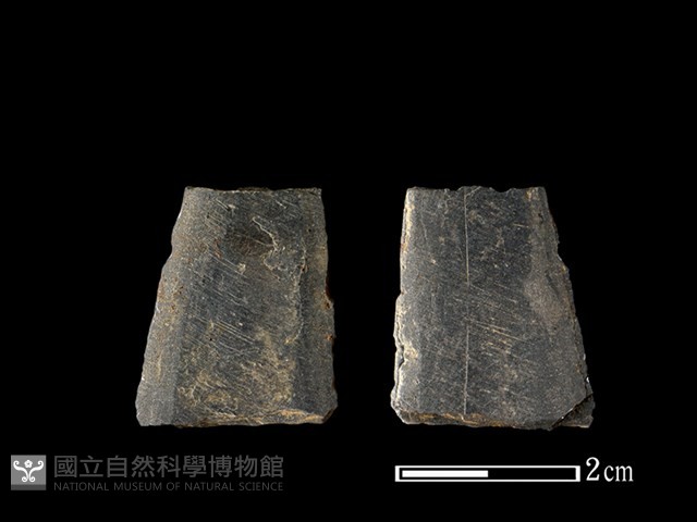 矛鏃形器藏品圖，第1張