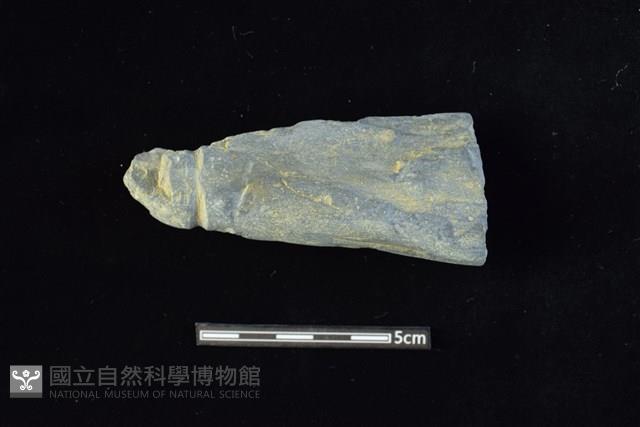 網墜藏品圖，第1張