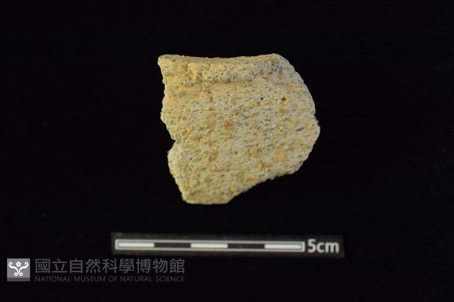 陶罐藏品圖，第1張