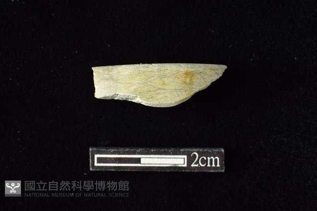 玉環藏品圖，第1張